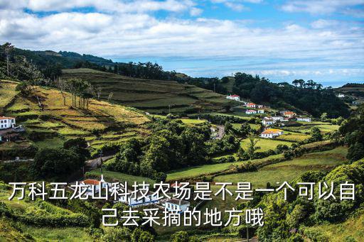 深圳新鮮蔬菜采摘，萬科五龍山科技農場是不是一個可以自己去采摘的地方哦