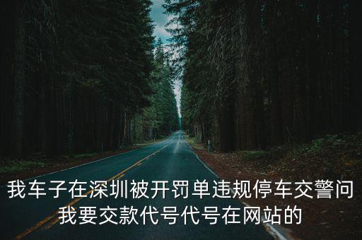 我車子在深圳被開罰單違規停車交警問我要交款代號代號在網站的