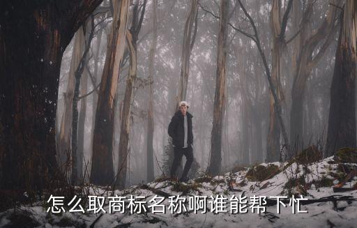 怎么取商標(biāo)名稱啊誰能幫下忙