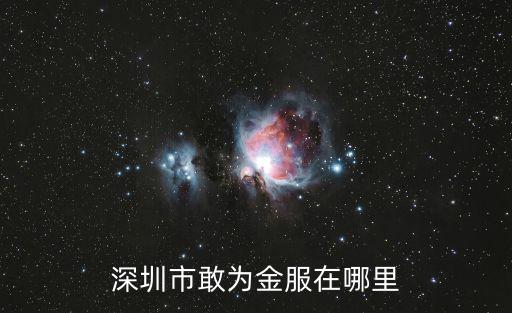 深圳市敢為金服在哪里