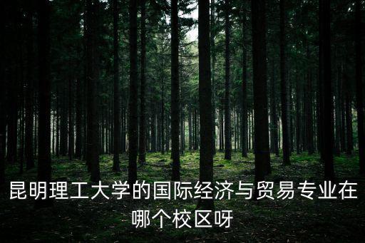 昆明理工大學廣州校區，昆明理工大學廣州校區廣州教學區學校大嗎教學質量怎么樣