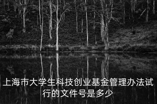 上海市大學(xué)生科技創(chuàng)業(yè)基金管理辦法試行的文件號是多少
