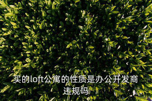 買的loft公寓的性質是辦公開發商違規嗎