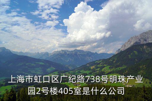 上海市虹口區廣紀路738號明珠產業園2號樓405室是什么公司