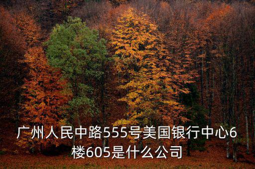 廣州人民中路555號美國銀行中心6樓605是什么公司