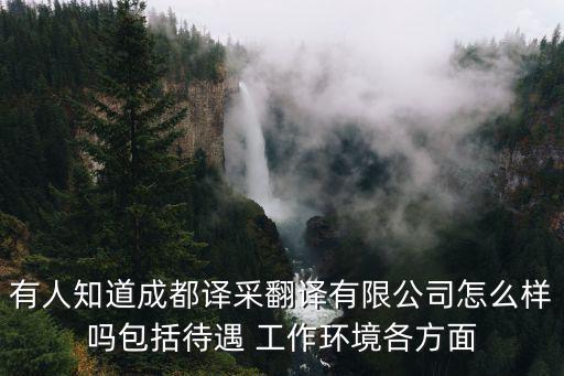 成都市譯采翻譯有限公司，成都譯采翻譯公司怎么樣