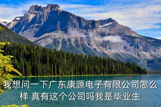 我想問一下廣東康源電子有限公司怎么樣 真有這個(gè)公司嗎我是畢業(yè)生
