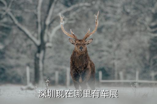 深圳現在哪里有車展