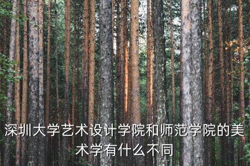 深圳大學(xué)藝術(shù)設(shè)計(jì)學(xué)院和師范學(xué)院的美術(shù)學(xué)有什么不同