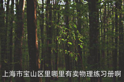 上海市寶山區里哪里有賣物理練習冊啊