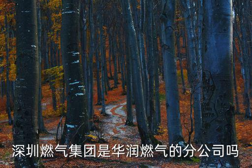 深圳燃?xì)饧瘓F(tuán)，深圳燃?xì)夤居心男?/></a></span><span id=