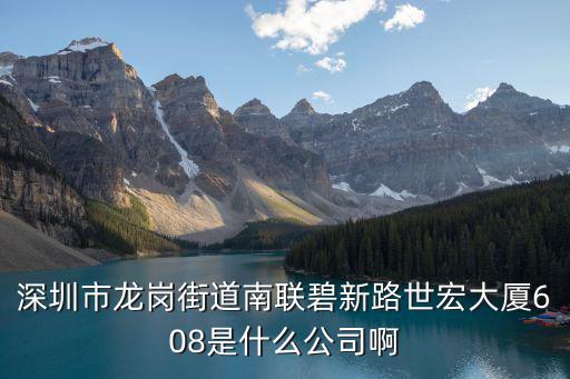 深圳市龍崗街道南聯(lián)碧新路世宏大廈608是什么公司啊