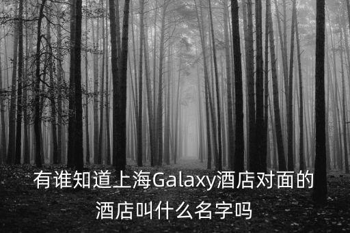 有誰知道上海Galaxy酒店對面的酒店叫什么名字嗎