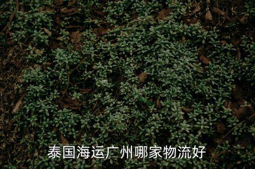 廣州樂風貨運代理有限公司，在廣州市做商超配送的物流公司有幾家了