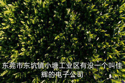 東莞市東坑鎮(zhèn)小塘工業(yè)區(qū)有沒一個(gè)叫佳輝的電子公司