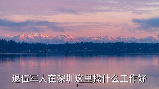 退伍軍人在深圳這里找什么工作好