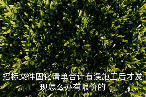 招標文件固化清單合計有誤施工后才發現怎么辦有限價的