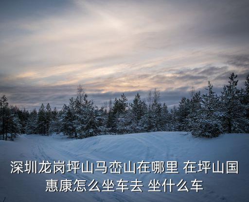 深圳龍崗坪山馬巒山在哪里 在坪山國(guó)惠康怎么坐車(chē)去 坐什么車(chē)