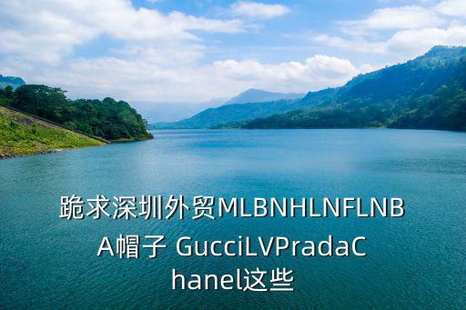跪求深圳外貿MLBNHLNFLNBA帽子 GucciLVPradaChanel這些