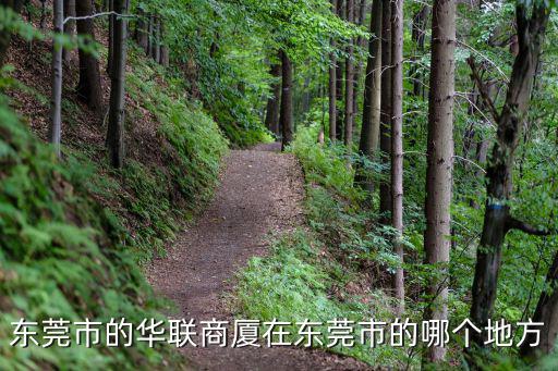東莞華聯(lián)超市，東莞市的華聯(lián)商廈在東莞市的哪個(gè)地方