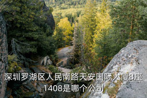 深圳羅湖區人民南路天安國際大廈B座1408是哪個公司