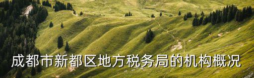 成都市地方稅務局，成都新都地方稅務局申報大廳地址