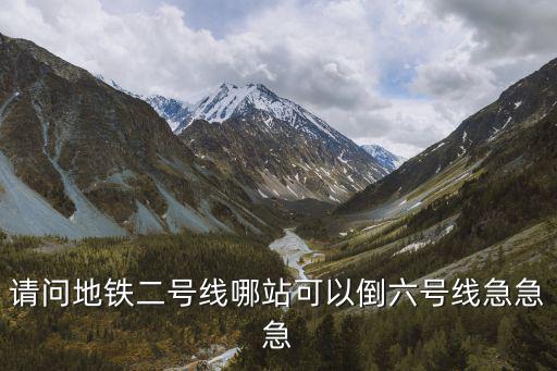 請(qǐng)問地鐵二號(hào)線哪站可以倒六號(hào)線急急急
