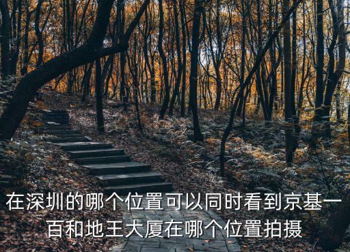 在深圳的哪個位置可以同時看到京基一百和地王大廈在哪個位置拍攝