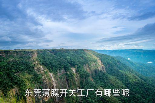 東莞薄膜開關(guān)工廠有哪些呢