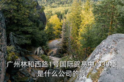 廣州龍玖貿(mào)易有限公司，廣州林和西路1號(hào)國(guó)際貿(mào)易中心39樓是什么公司的啊