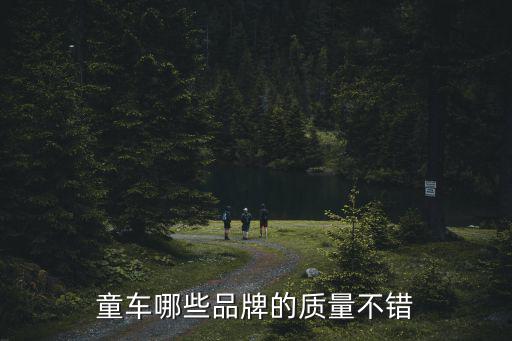 童車哪些品牌的質量不錯