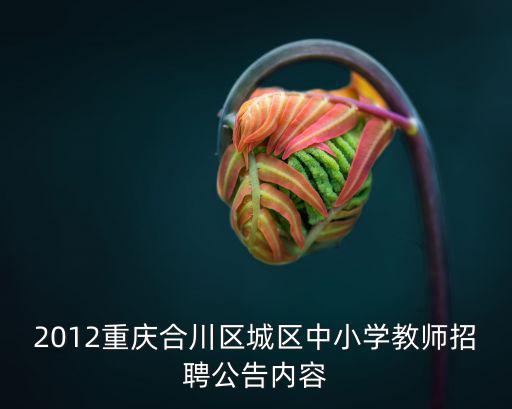 2012重慶合川區(qū)城區(qū)中小學(xué)教師招聘公告內(nèi)容