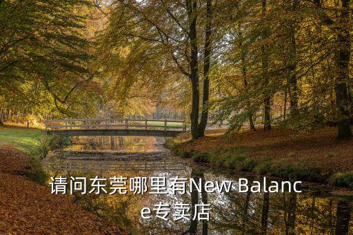 請問東莞哪里有New Balance專賣店
