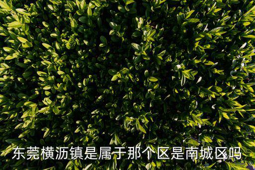 東莞橫瀝鎮是屬于那個區是南城區嗎