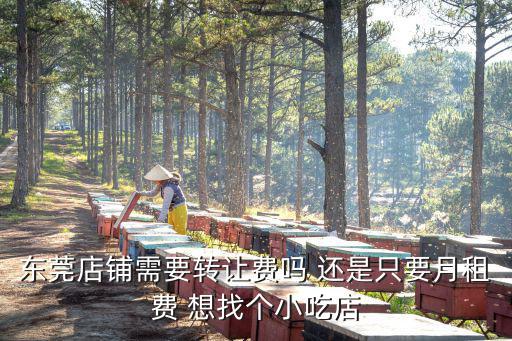 東莞店鋪需要轉讓費嗎 還是只要月租費 想找個小吃店