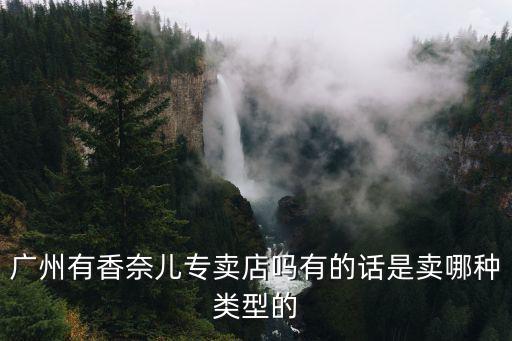 廣州有香奈兒專賣店嗎有的話是賣哪種類型的