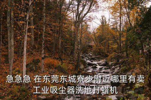 急急急 在東莞東城寮步附近哪里有賣工業吸塵器洗地打蠟機