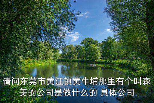 請問東莞市黃江鎮黃牛埔那里有個叫森美的公司是做什么的 具體公司