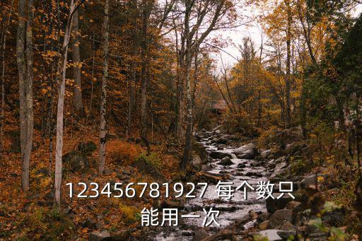 123456781927 每個數只能用一次