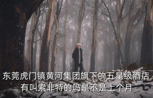 東莞虎門鎮黃河集團旗下的五星級酒店有叫索非特的嗎是不是上個月