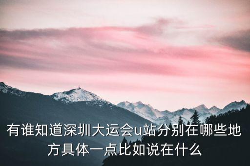 深圳 u station，深圳哪里有U站