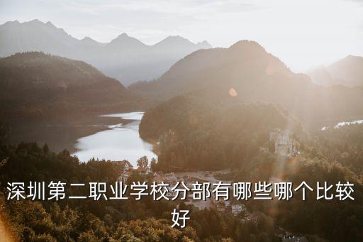 深圳第二職業學校分部有哪些哪個比較好
