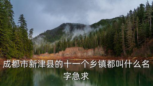 成都市新津縣的十一個鄉鎮都叫什么名字急求