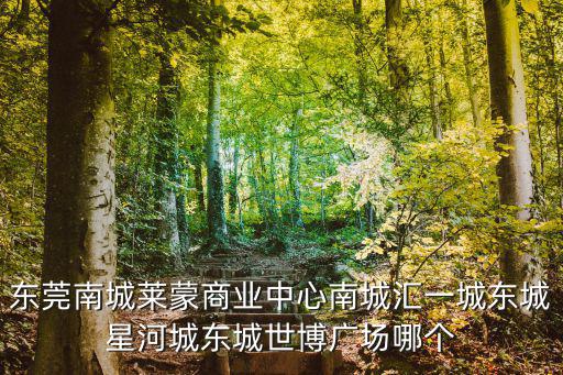 東莞南城萊蒙商業(yè)中心南城匯一城東城星河城東城世博廣場哪個(gè)