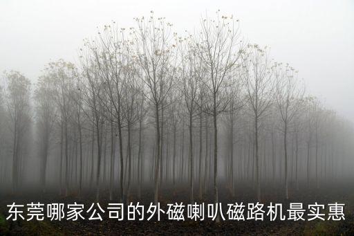 東莞哪家公司的外磁喇叭磁路機最實惠