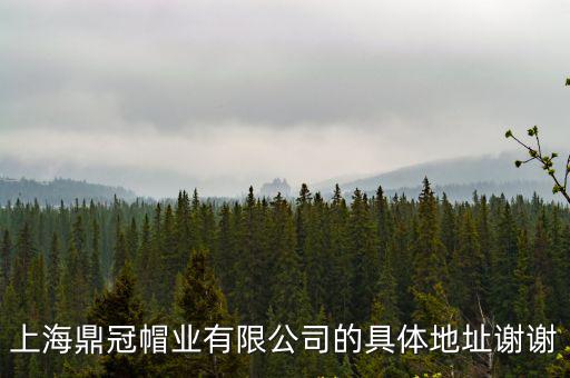 上海市閔行區(qū)浦江鎮(zhèn)勤勞村，上海鼎冠帽業(yè)有限公司的具體地址謝謝