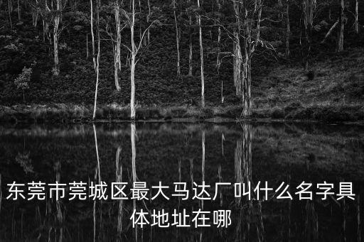 東莞市莞城區最大馬達廠叫什么名字具體地址在哪