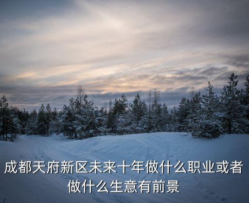 成都天府新區未來十年做什么職業或者做什么生意有前景