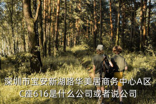 深圳市寶安新湖路華美居商務(wù)中心A區(qū)C座616是什么公司或者說公司