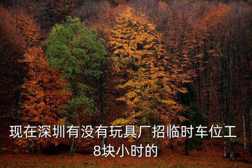 現(xiàn)在深圳有沒有玩具廠招臨時車位工 8塊小時的